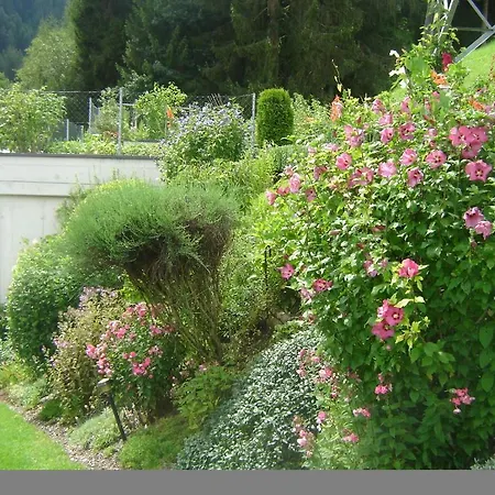 Kainer Ried im Zillertal